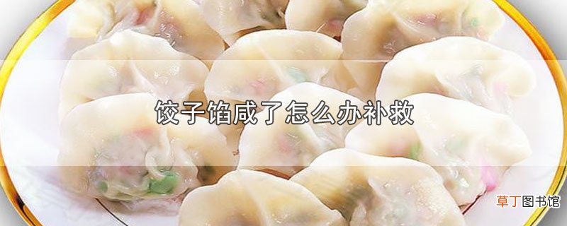 饺子馅咸了怎么办补救