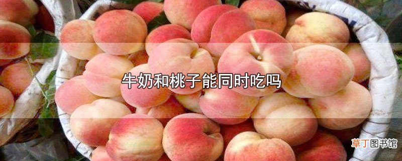 牛奶和桃子能同时吃吗