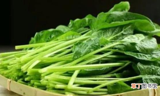 孕期控制体重 8种食物吃多了也不长肉哦