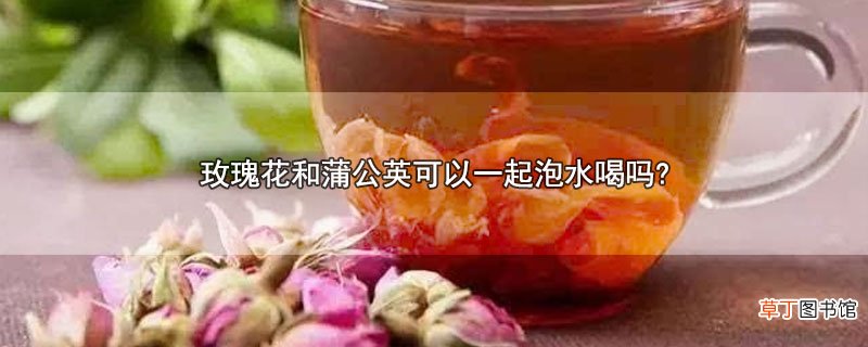玫瑰花和蒲公英可以一起泡水喝吗?