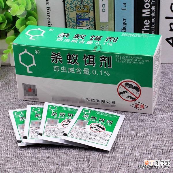 家里有蚂蚁怎么办能除根吗（家里的蚂蚁怎么彻底消除