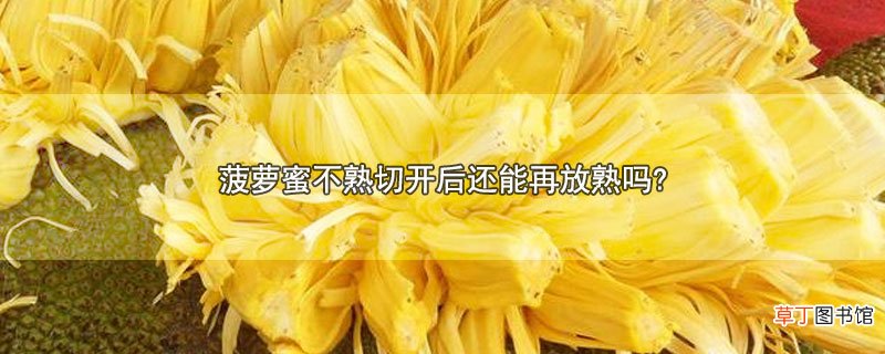 菠萝蜜不熟切开后还能再放熟吗?