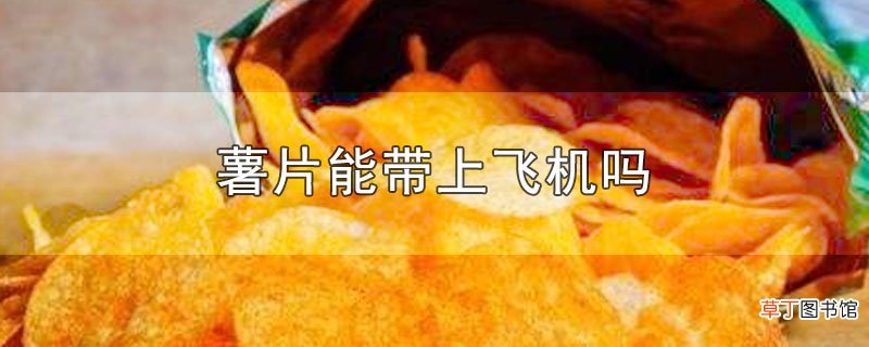 薯片能带上飞机吗