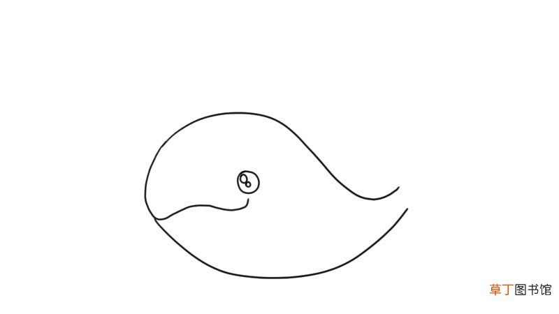 鲸鱼简笔画