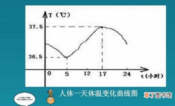 不超过37.4 正常人一天体温曲线图,人体24小时体温变化图