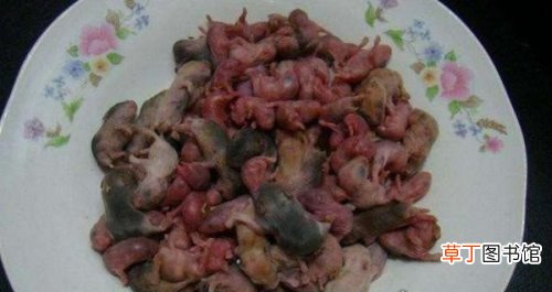 令人毛骨悚然 广东十大恐怖菜,将动物折磨致死后食用
