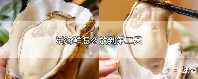 活海鲜怎么放到第二天