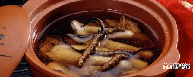 冬虫夏草怎么炖汤 冬虫夏草炖汤的做法介绍