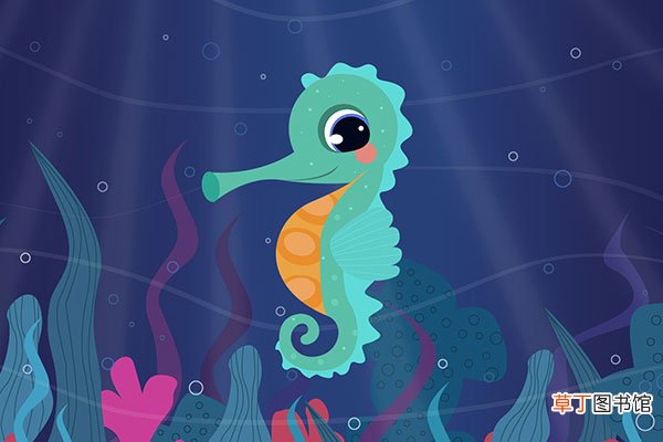 海马是鱼吗
