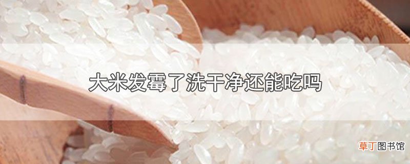 大米发霉了洗干净还能吃吗