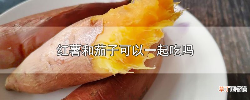 红薯和茄子可以一起吃吗