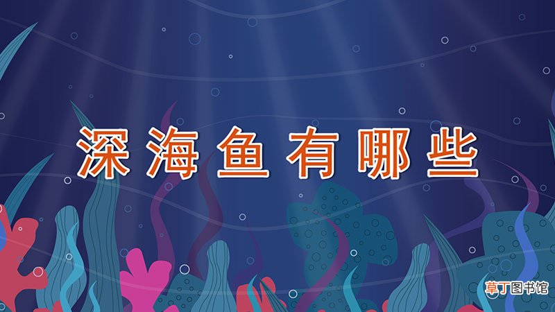 深海鱼有哪些