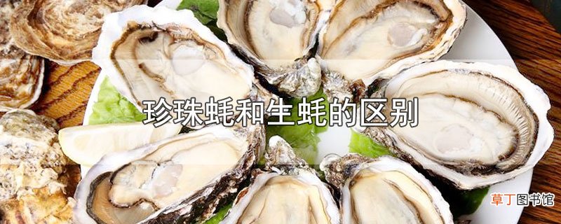 珍珠蚝和生蚝的区别