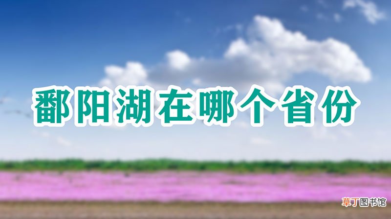 鄱阳湖在哪个省份