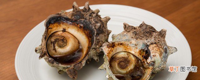 怎么煮海螺好吃 海螺应该怎么煮好吃