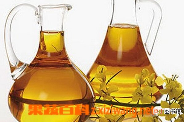 菜油放久了会变质吗 菜油变质的原因