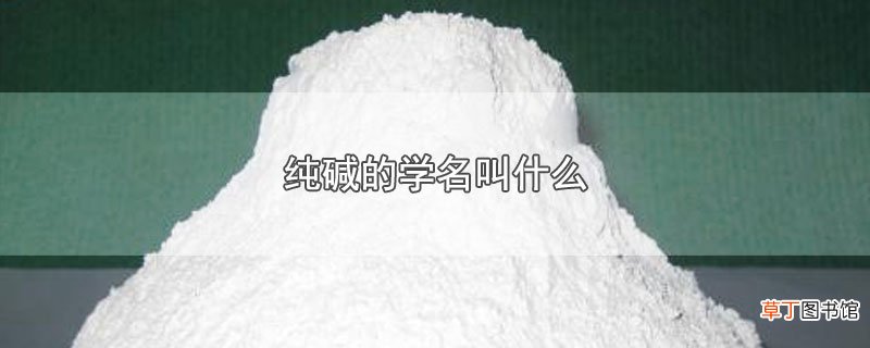 纯碱的学名叫什么