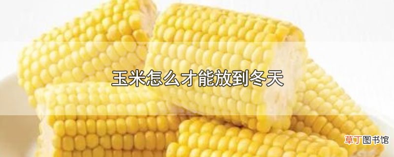 玉米怎么才能放到冬天
