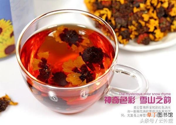 雪菊的食用方法和禁忌 雪菊有什么功效与作用