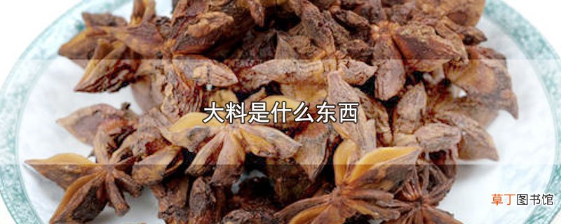 大料是什么东西