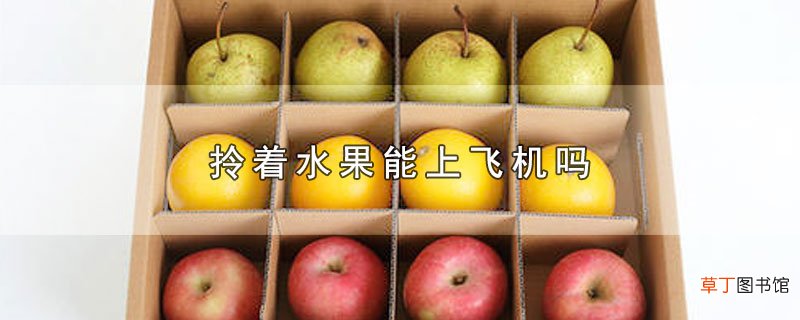 拎着水果能上飞机吗
