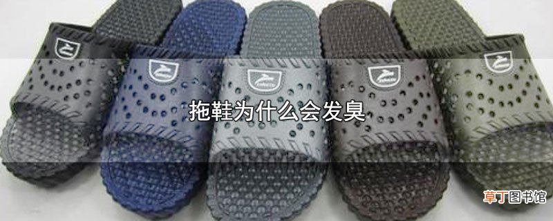 拖鞋为什么会发臭