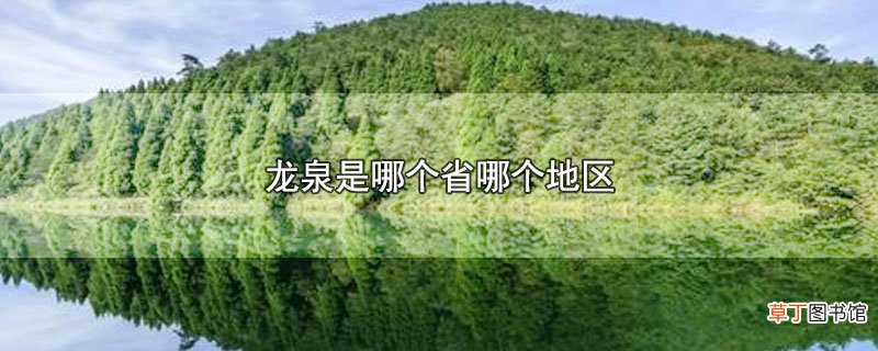 龙泉是哪个省哪个地区