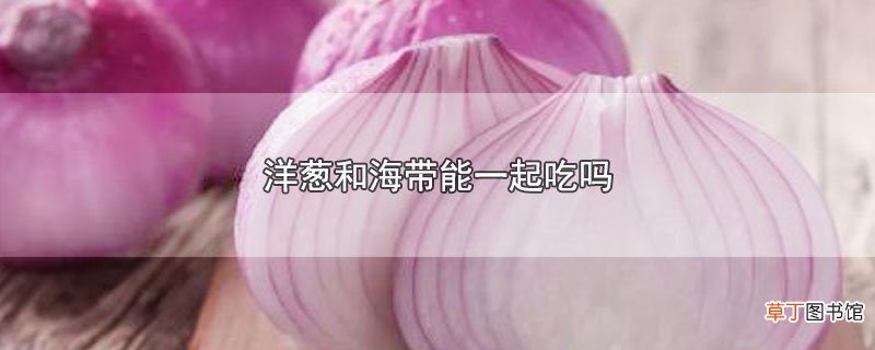 洋葱和海带能一起吃吗