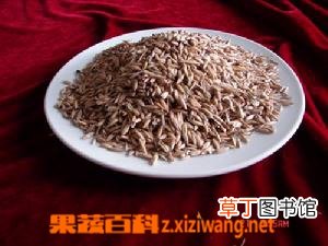 雞蛋燕麥粥的功效