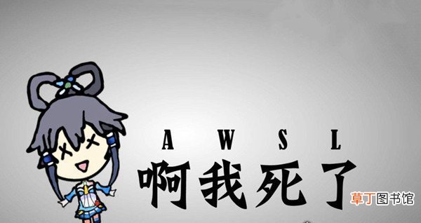 在饭圈一般指神经病 网友口中的sjb是啥意思,主要有三个意思