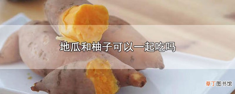 地瓜和柚子可以一起吃吗