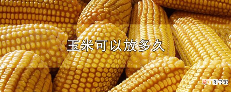玉米可以放多久