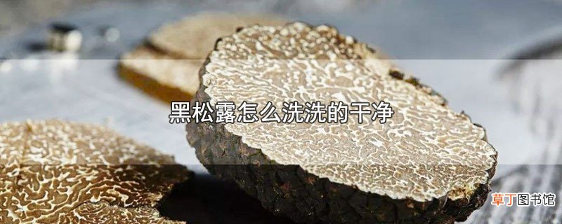 黑松露怎么洗洗的干净