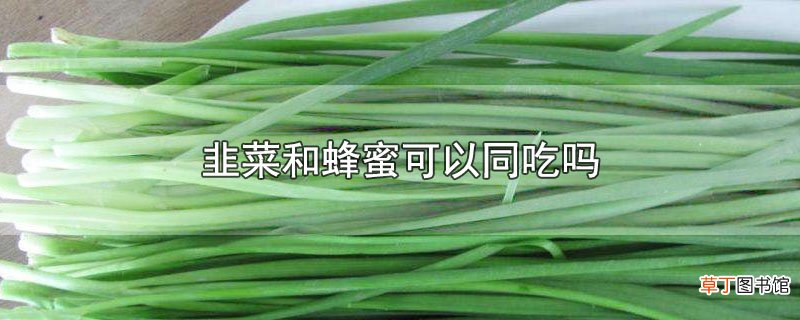 韭菜和蜂蜜可以同吃吗