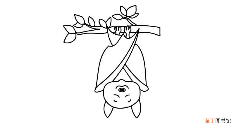 蝙蝠简笔画 蝙蝠的画法
