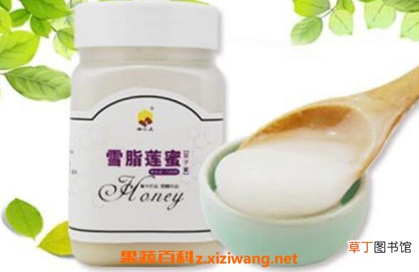雪脂莲蜜的作用与功效 雪脂莲蜜的食用方法
