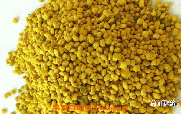 花粉怎么吃 花粉的正确食用方法