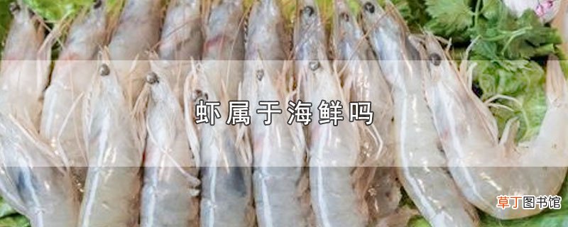 虾属于海鲜吗