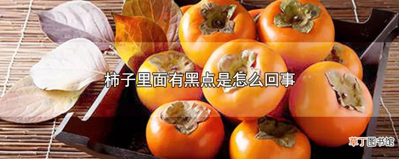 柿子里面有黑点是怎么回事