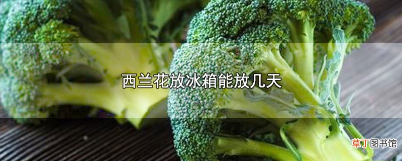 西兰花放冰箱能放几天