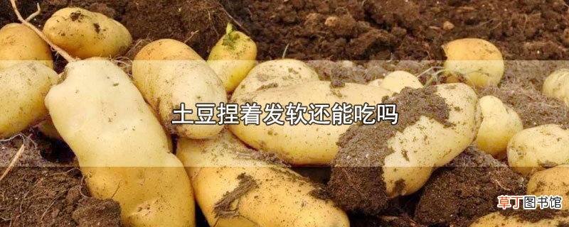 土豆捏着发软还能吃吗