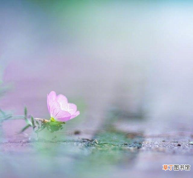 简单干净致自己的句子有哪些？