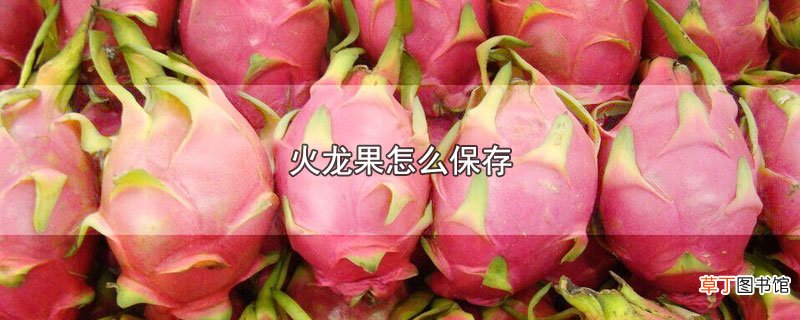 火龙果怎么保存