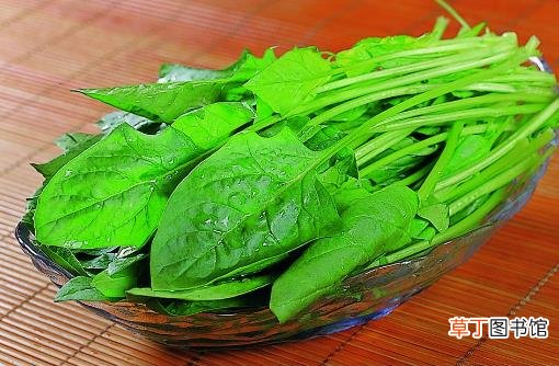 肠胃要刮油 这七种食物得吃