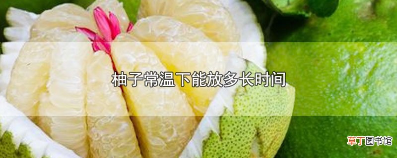 柚子常温下能放多长时间