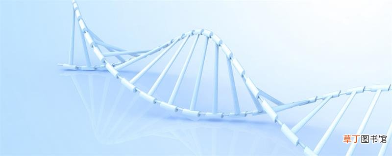 氯化钙和水反应化学方程式 氯化钙和水反应化学方程式是