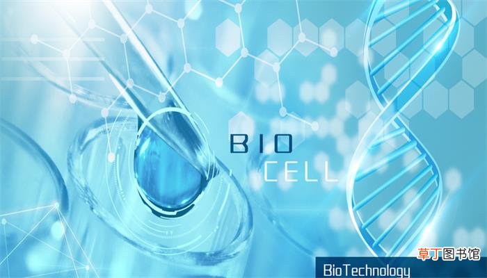 氯化钙和水反应化学方程式 氯化钙和水反应化学方程式是