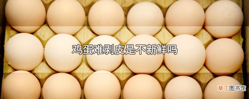 鸡蛋难剥皮是不新鲜吗