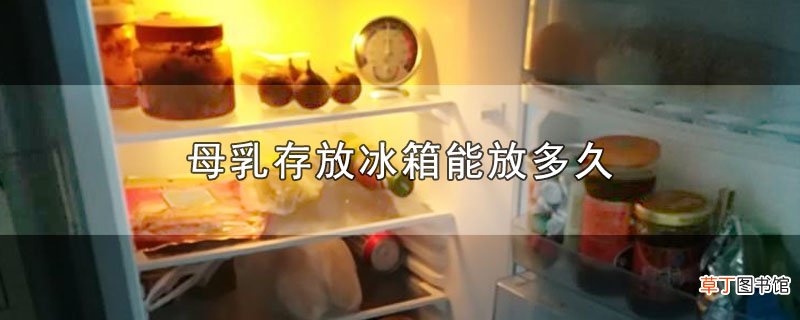母乳存放冰箱能放多久