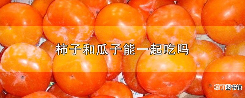 柿子和瓜子能一起吃吗